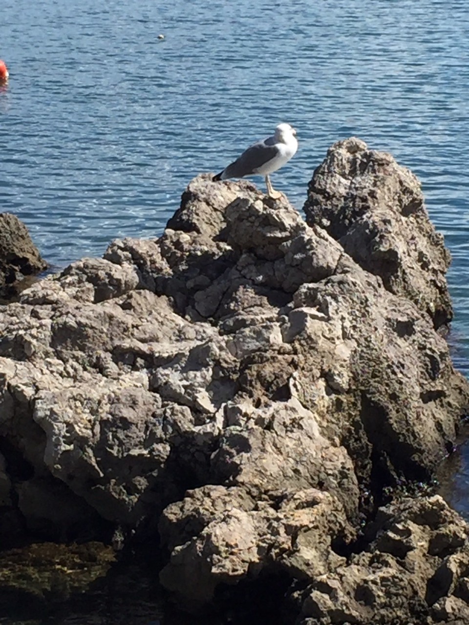 Kroatien - Opatija - 