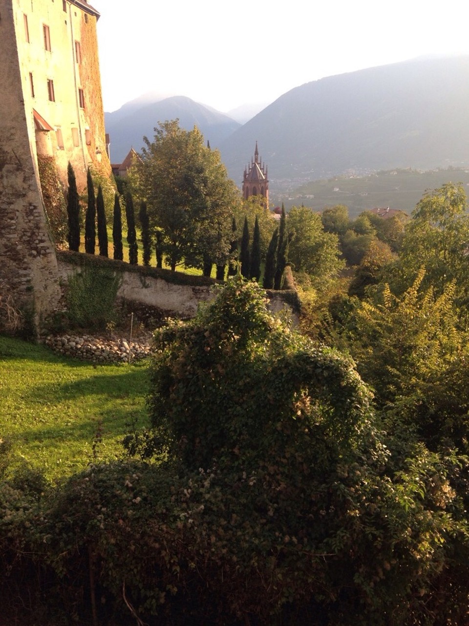  - Italien, Scena/Meran - Zypressen, Weinberge und Apfelplantagen, Palmen prägen das Bild