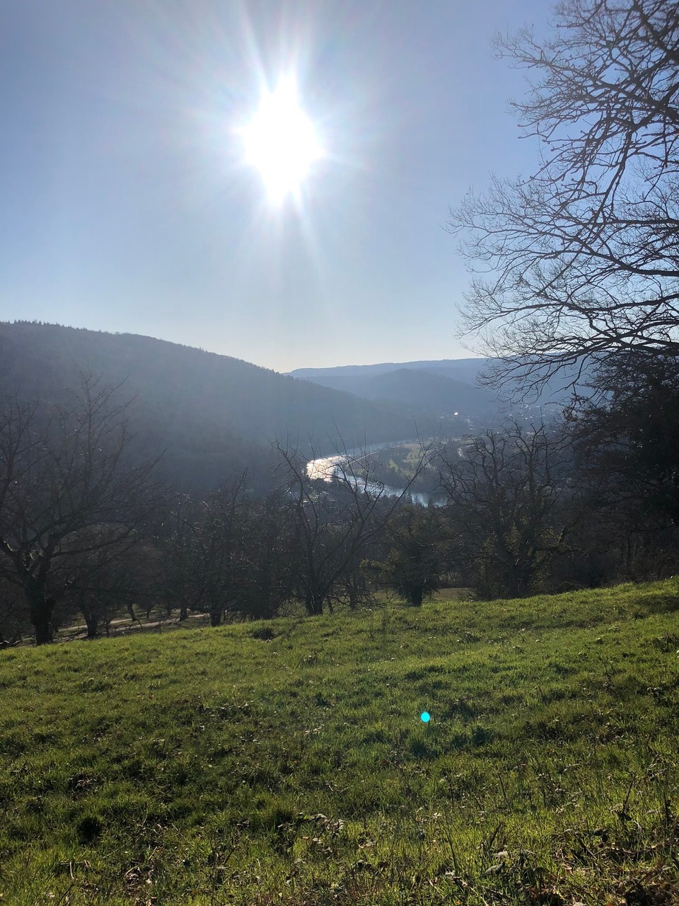 Deutschland - Ludwigshafen - 