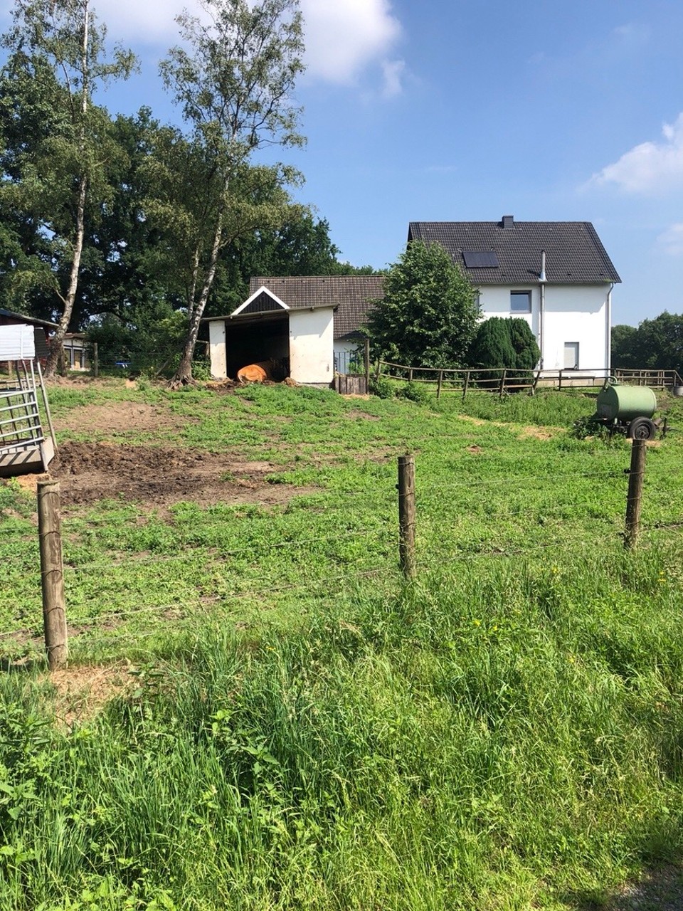 Deutschland - Lüdinghausen - 