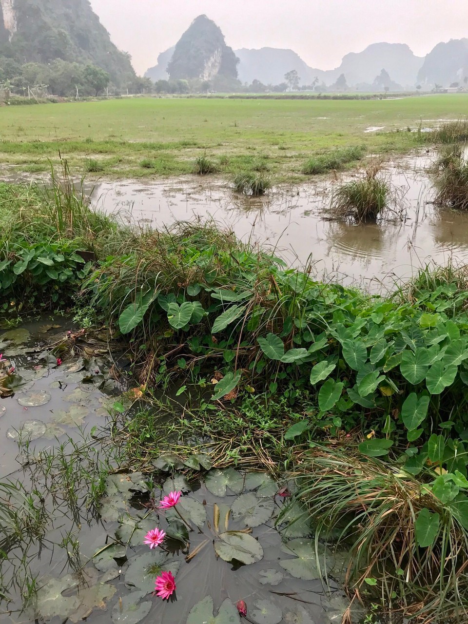Vietnam - H. Hoa Lư - 