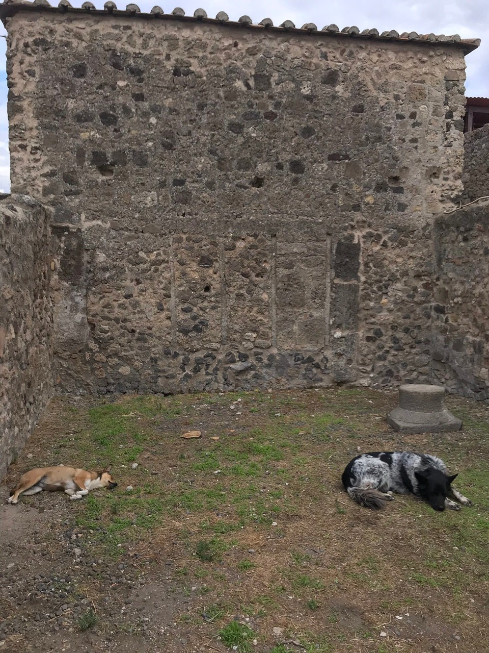 Italien - Pompei - Die Hunde, die heute hier sind, sind viel zu entspannt als dass die Warnung für sie gelten könnte.