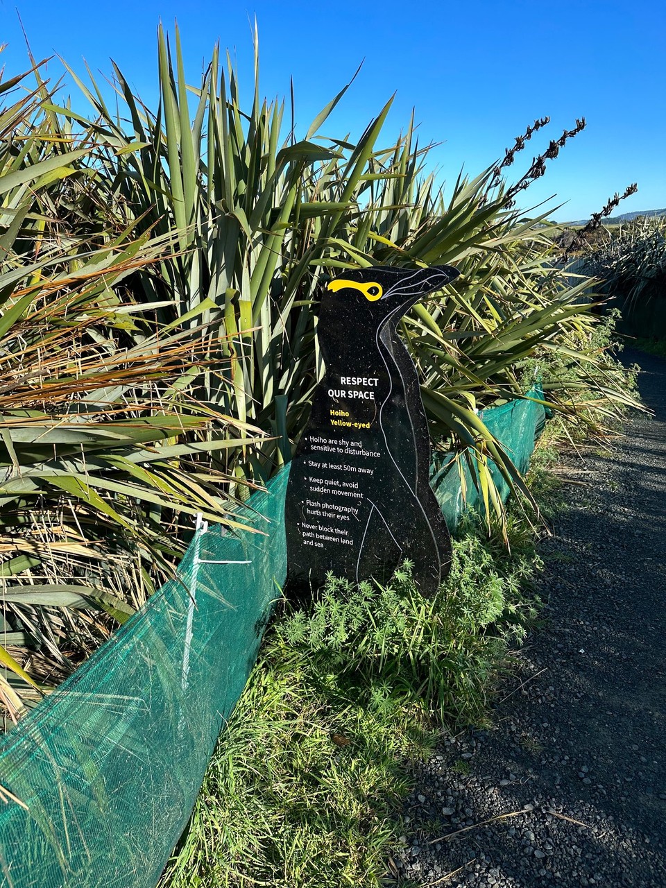 Neuseeland - Dunedin - 