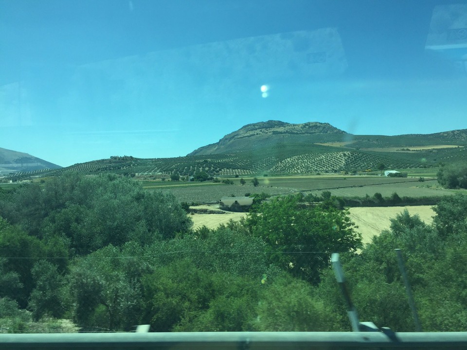 Spanien - Málaga - Fahrt Málaga Granada
