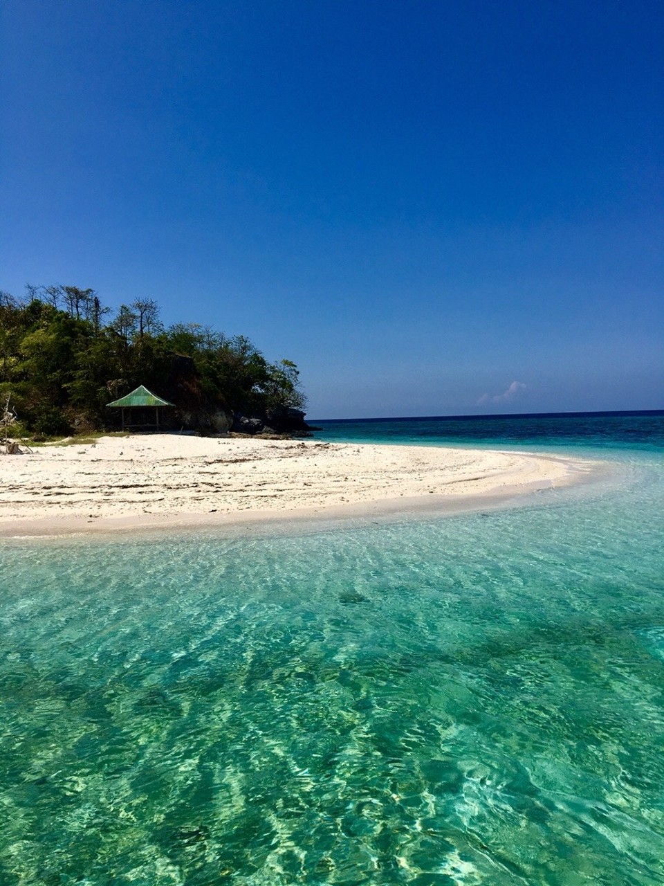 Indonesien -  - Bird Island 🇲🇨