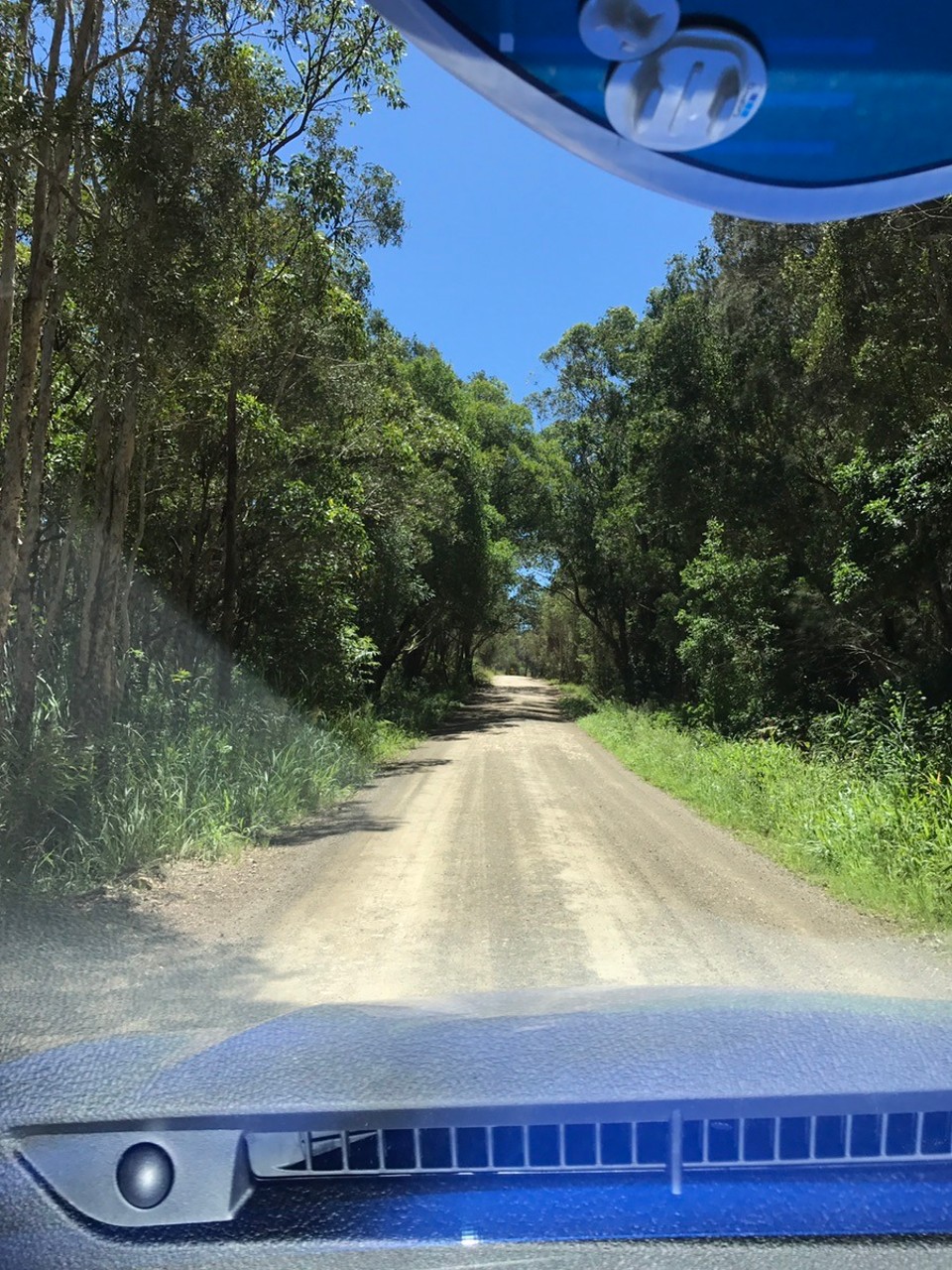 Australia - Bonny Hills - Took a backstreet for 5 kms from crescent head back to diamond head ( the lizard one!)