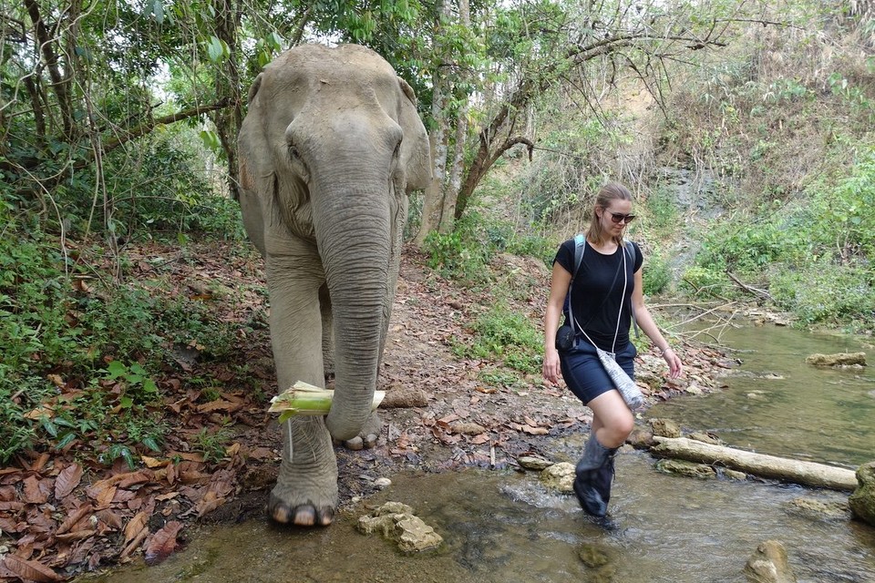 Laos - Luang Prabang - 