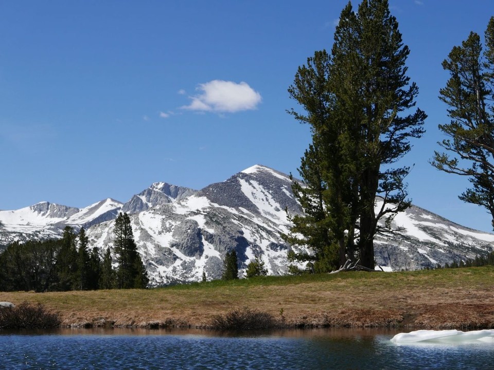 USA - Jamestown - Yosemite Nationalpark....