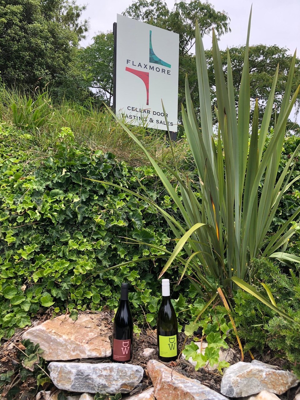 Neuseeland - Upper Moutere - Endlich durften Dw-Weine aus Küsnacht am Zürichsee nach 18 000 km die Weine von Flaxmore Vineyard treffen. Ein Pinot Noir Barrique und ein Räuschling reisten rund 18‘000 km mit uns und nun fliegen wir mit Weinen von Flaxmore zurück! Super! Zwei passionierte winemakers swap wines👍