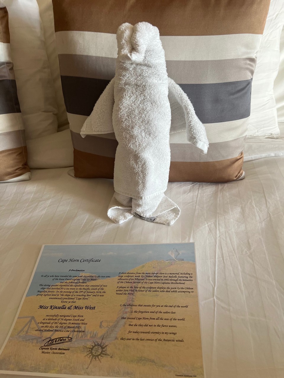 Chile - Cape Horn - Our certificate and penguin 😀