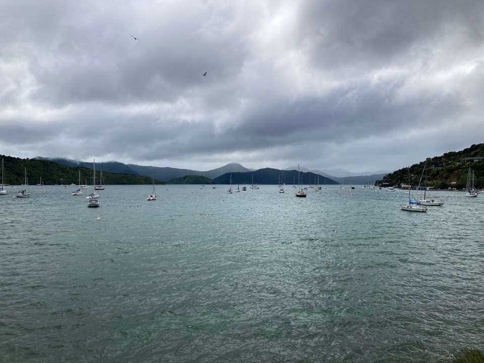 Neuseeland - Picton - 