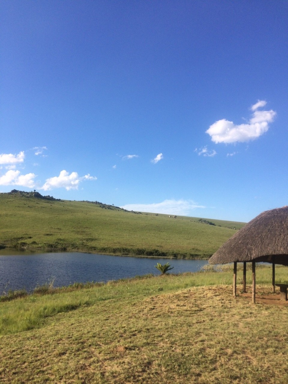 Swasiland -  - 