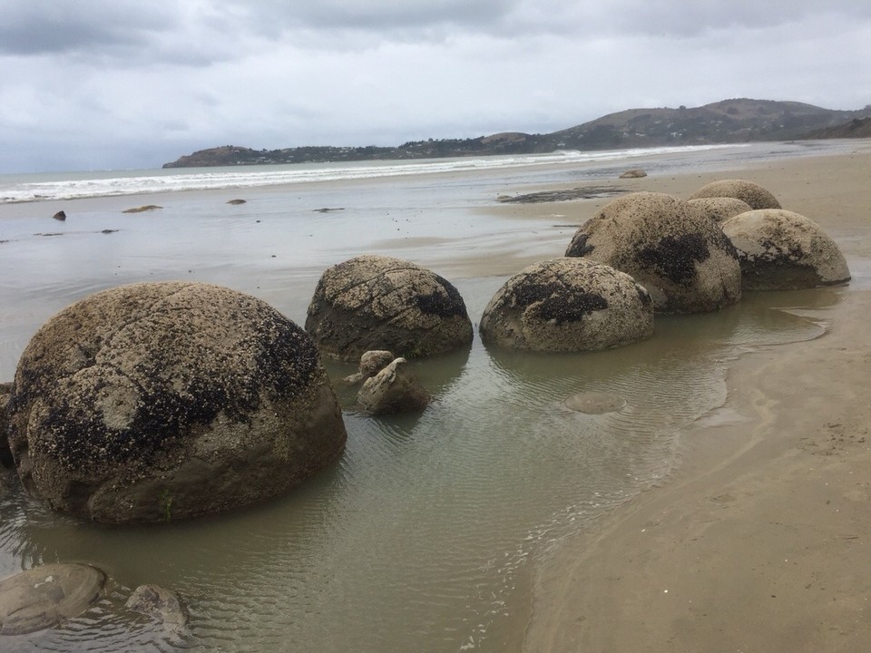 Neuseeland - Oamaru - Moeraki Boulders