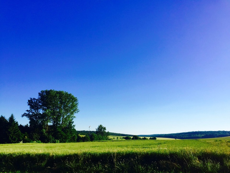 Deutschland - Rimpar - Frankenland