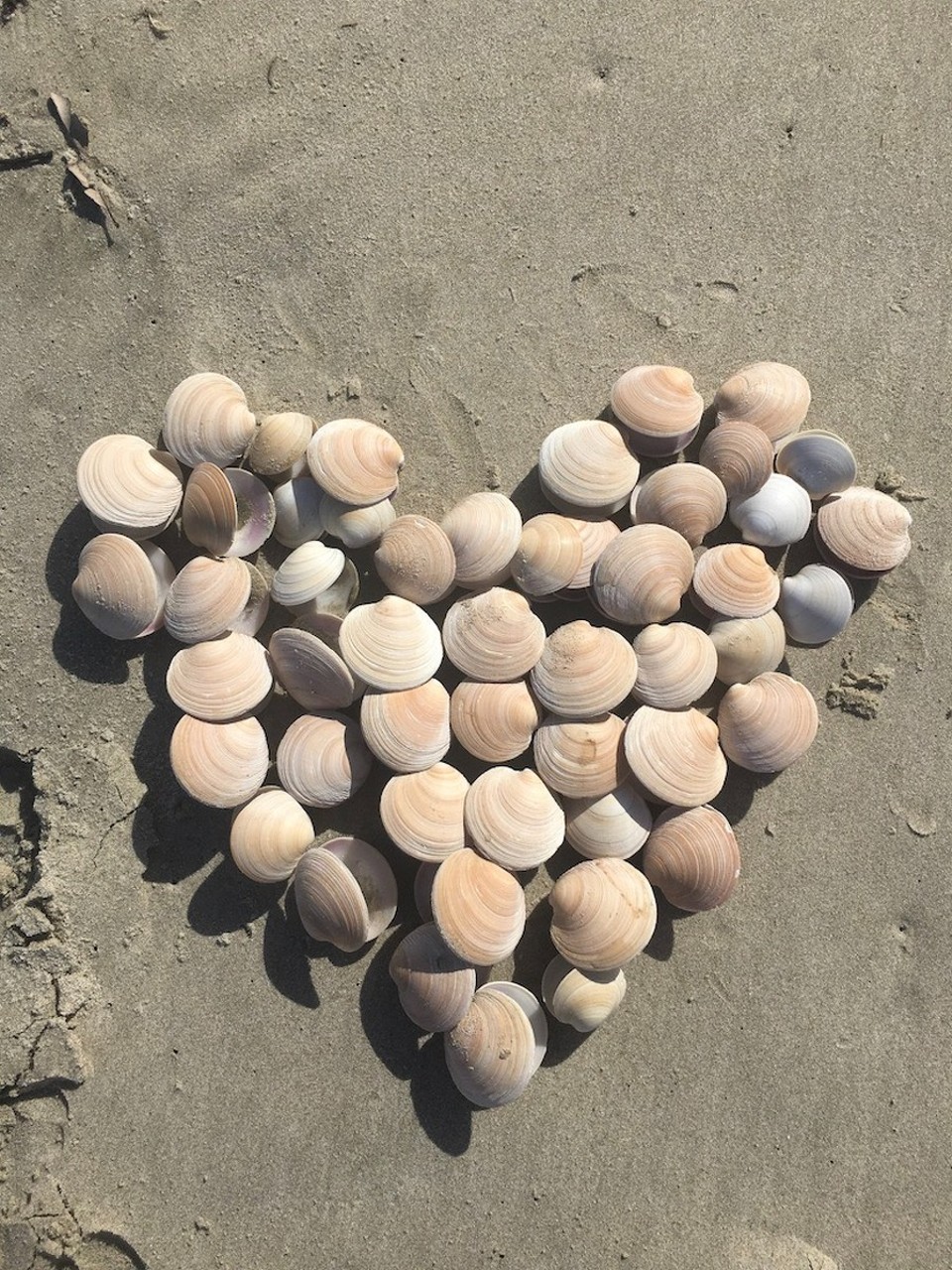 Neuseeland - Waipu - 