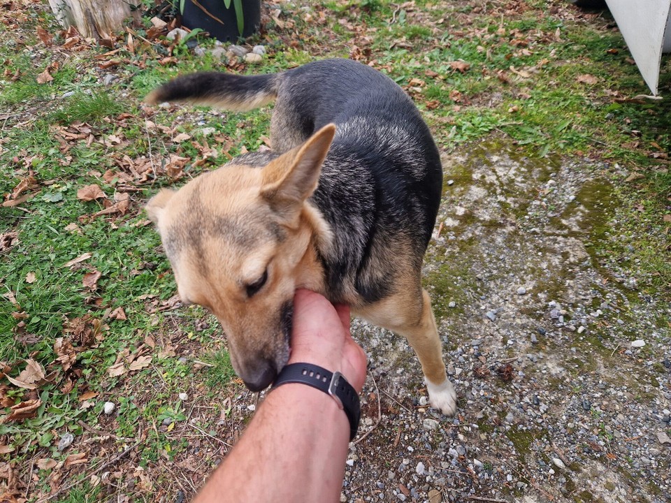 Italien - Brindisi - …mein neuer Freund