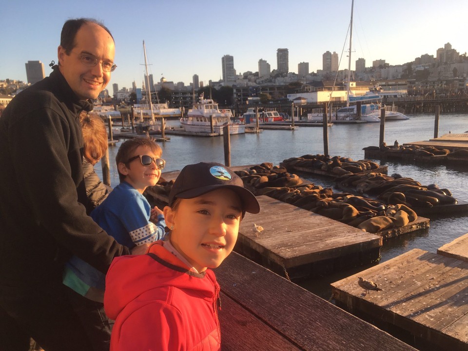 Vereinigte Staaten - San Francisco - Die Seelöwen am Pier 39 sind sehr faszinierend. Viele liegen eng beieinander auf dem gleichen Floß. Schon seit 30 Jahren leben die Seelöwen an der Pier 39.