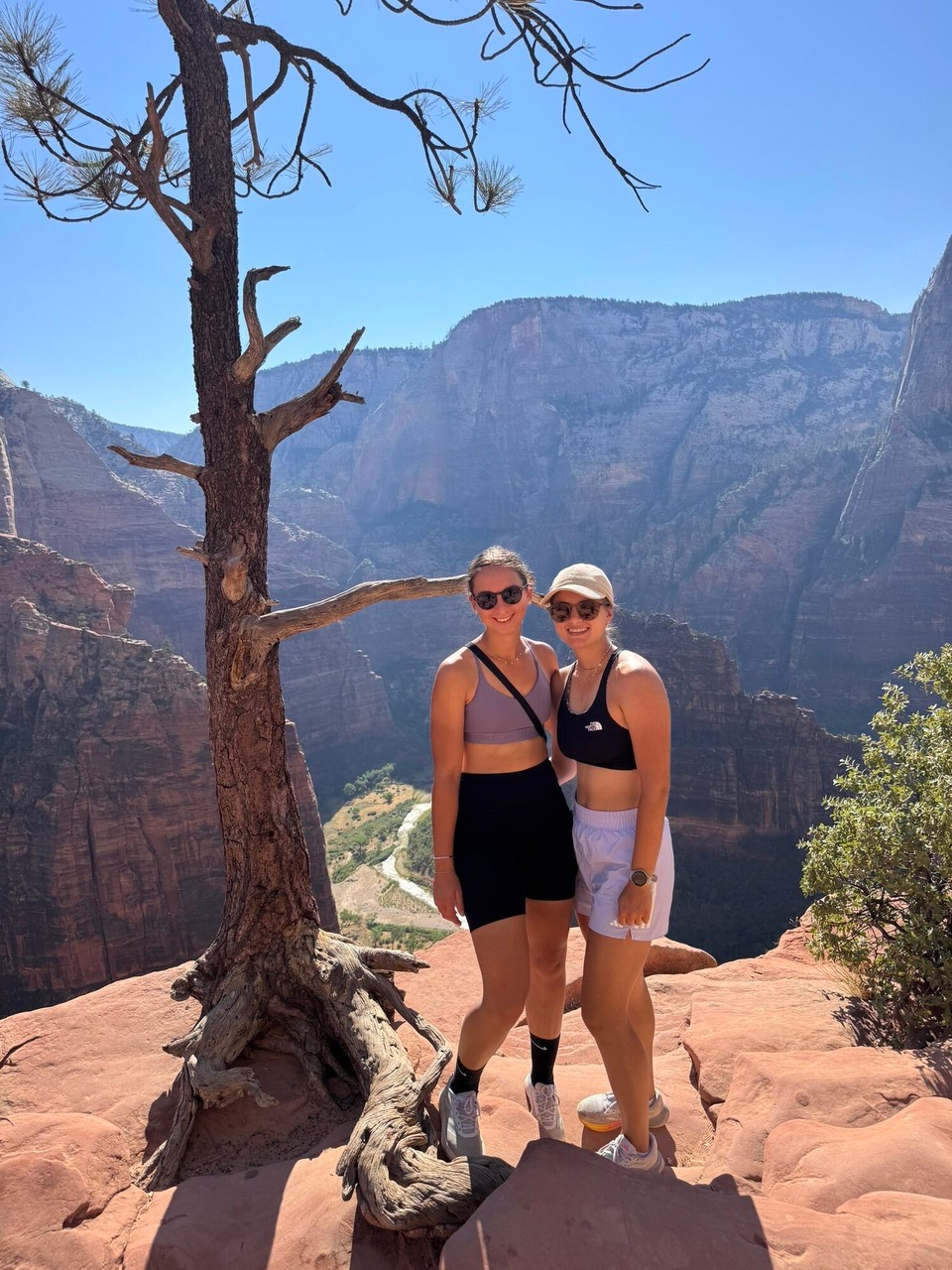 Vereinigte Staaten - Springdale - 