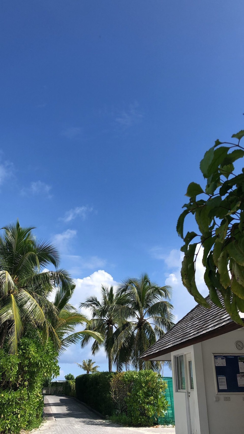 Maldives - Rangali - 