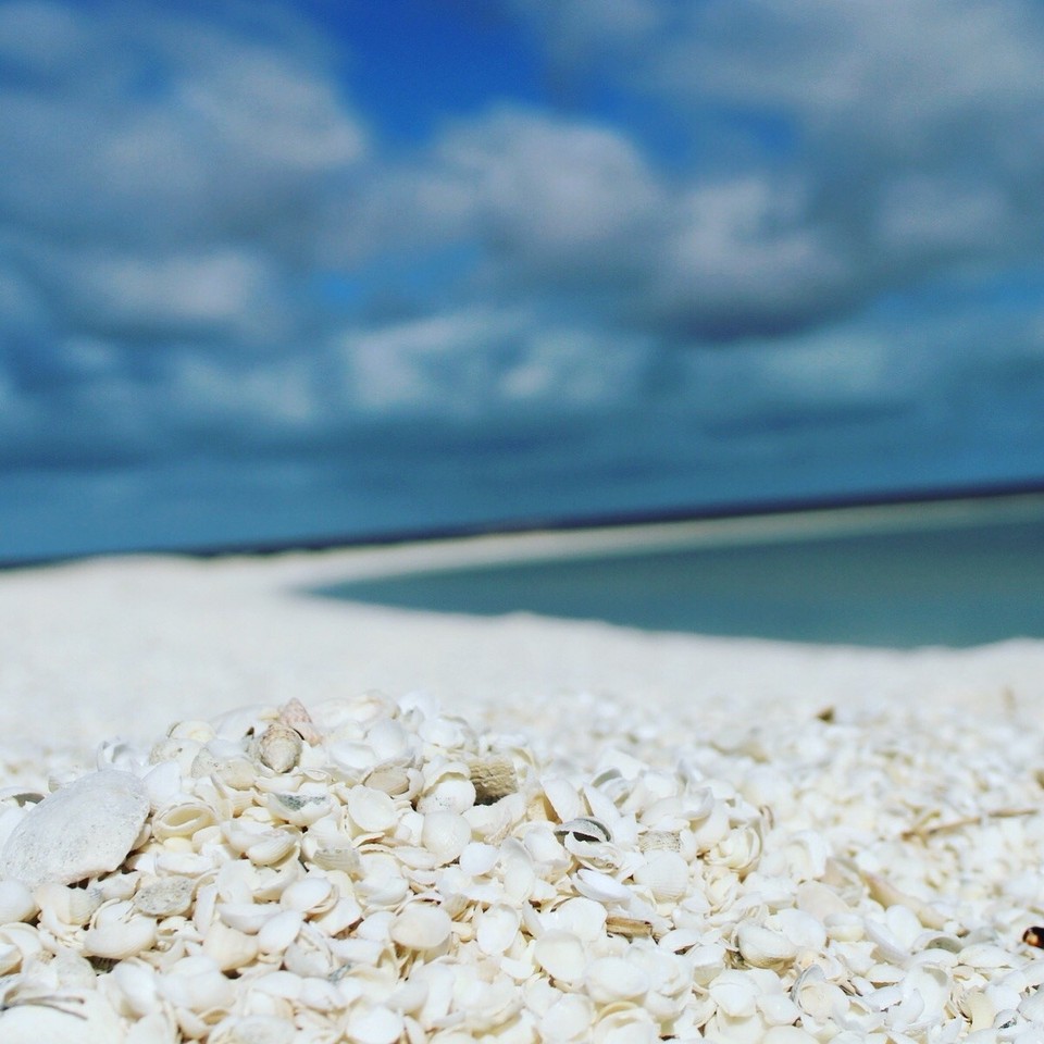 Australien -  - 🐚 Shell Beach 🐚