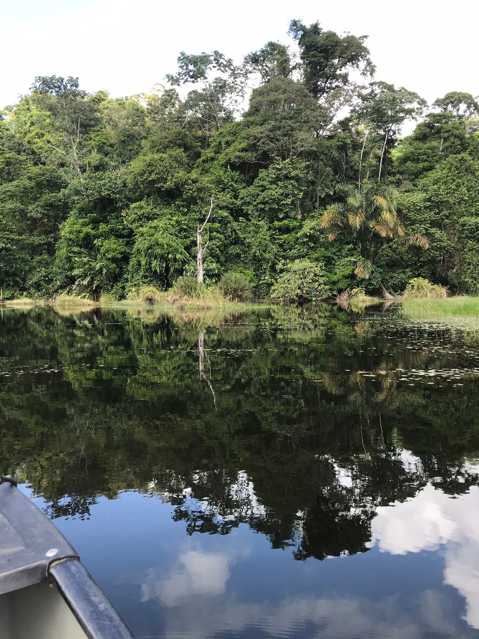 Costa Rica - San Carlos - 