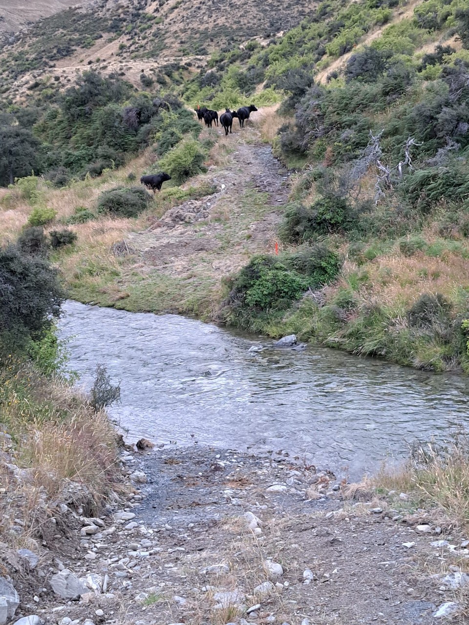 Neuseeland - Lindis River - Schon wieder gibt's nasse Füsse 🤣