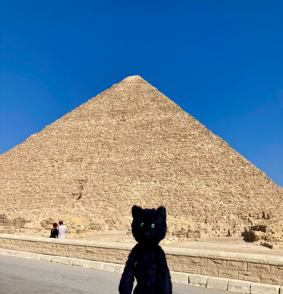 Egypt - Cairo - I'm not climbing that...