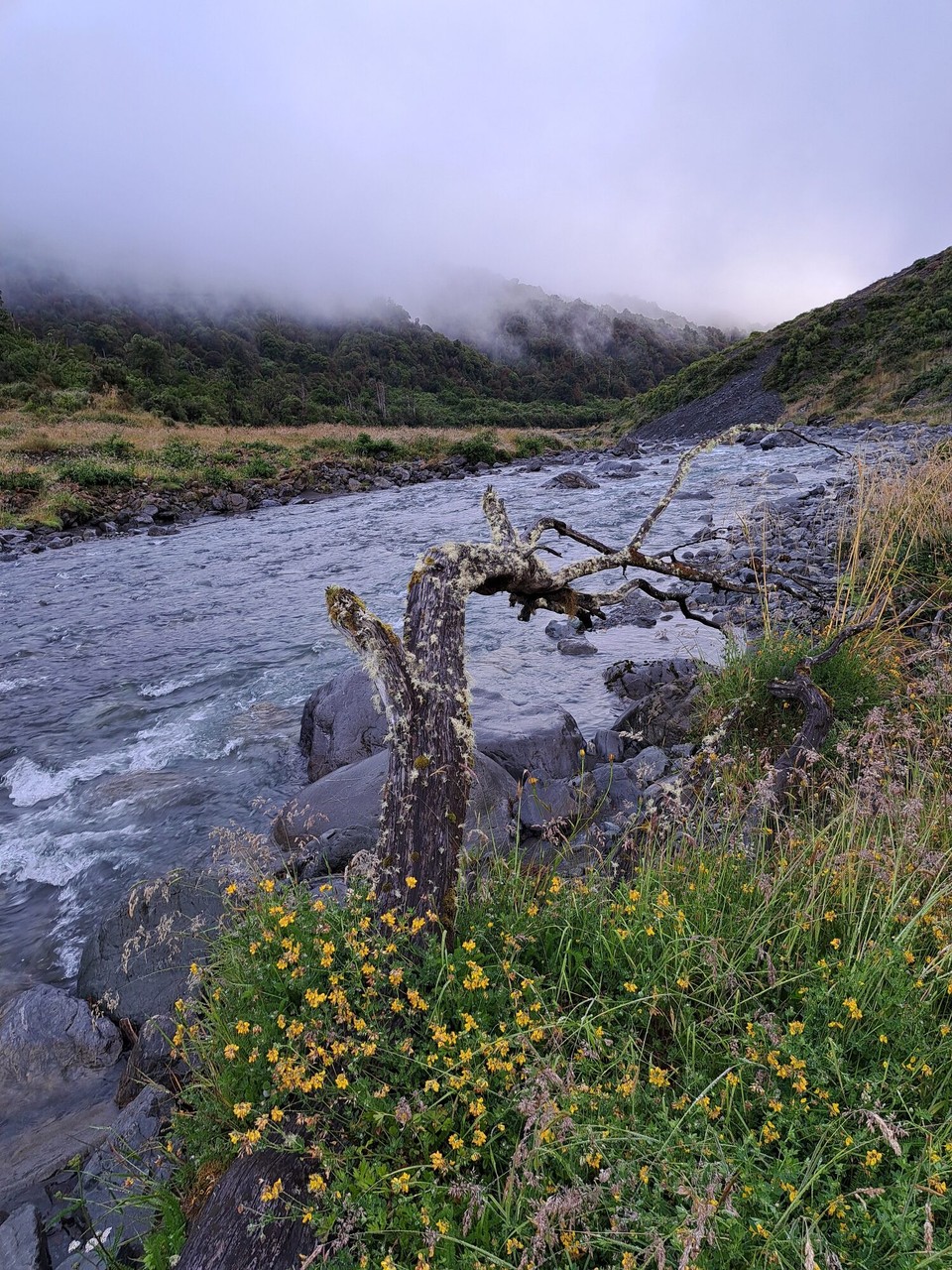 Neuseeland - Arthur’s Pass - 