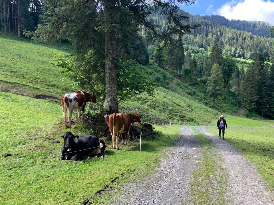 Österreich - Söll - 