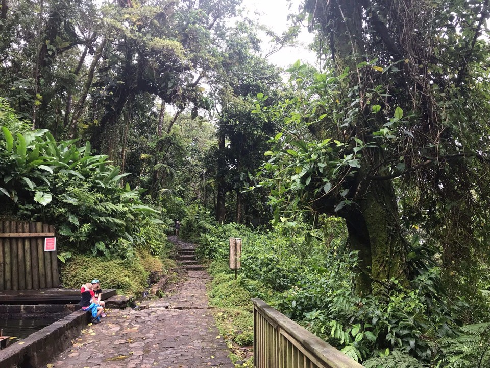 Guadeloupe -  - 