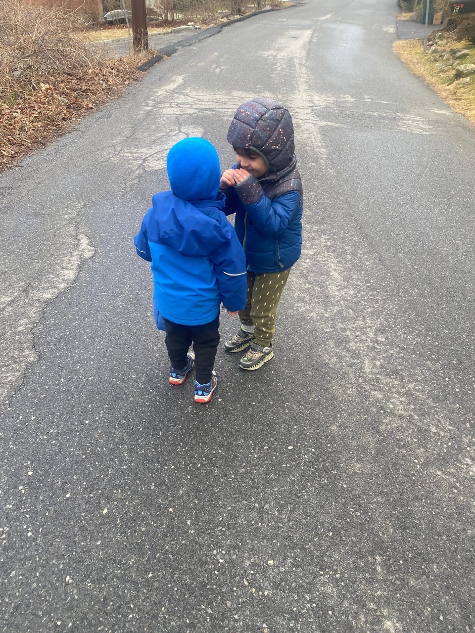 United States - Chappaqua - 