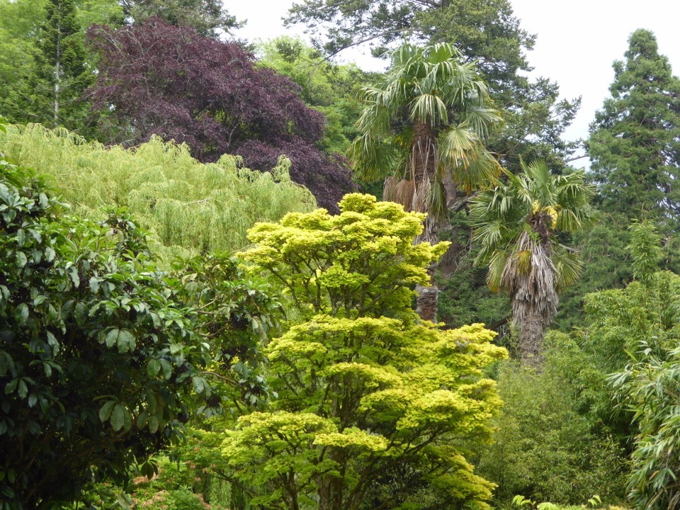 Ireland - Enniskerry - By a strange quirk of fate Ralph and Gwen’s daughter married the 10th Viscount, Mervyn Patrick.  Although later divorced, their children continue a connection with the estate and the cousins are involved with its management.