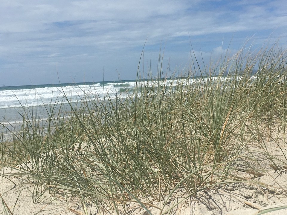Neuseeland - Whangaparaoa - 