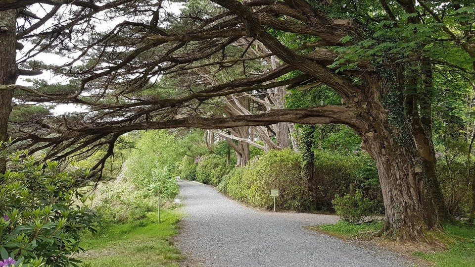 Irland - Galway - 