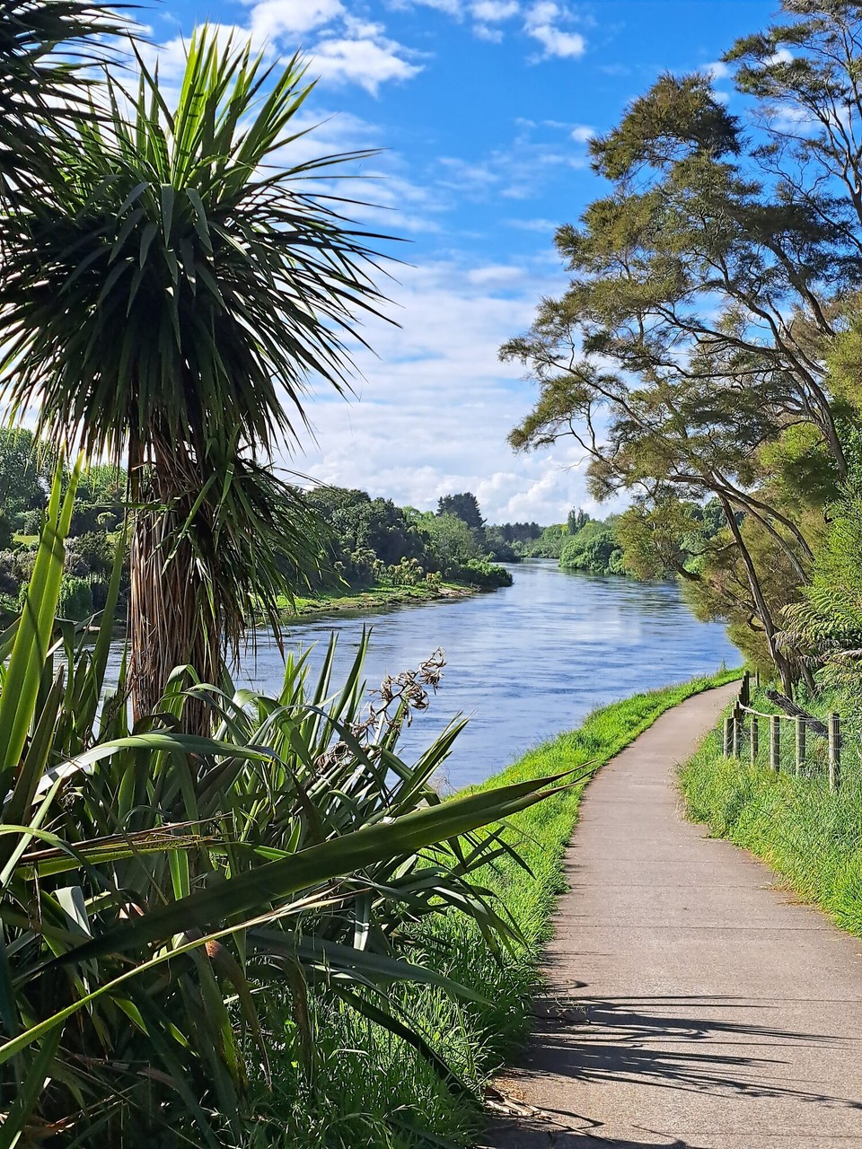 Neuseeland - Hamilton - 