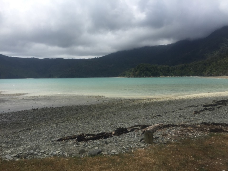 Neuseeland - French Pass - 