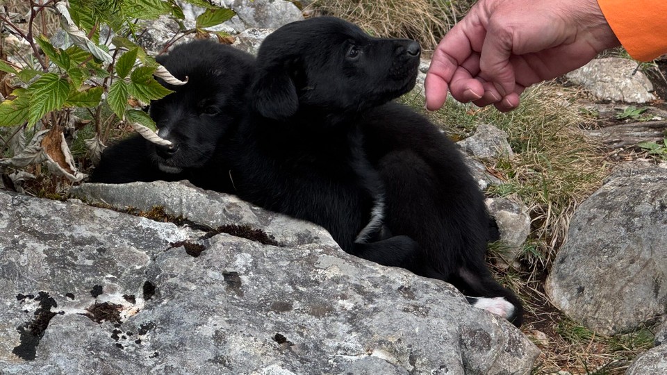 Montenegro - Plužine - 