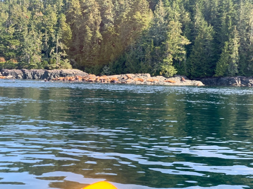 Kanada - Mount Waddington A - 