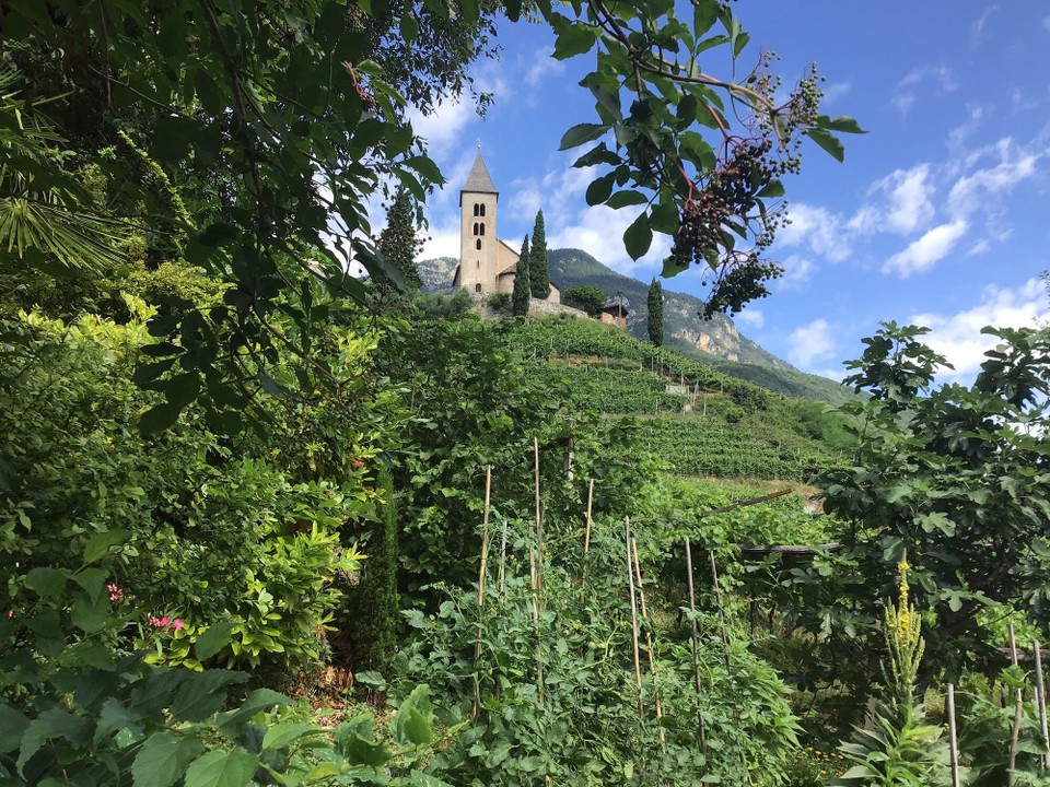 Italien - Tramin an der Weinstraße - 