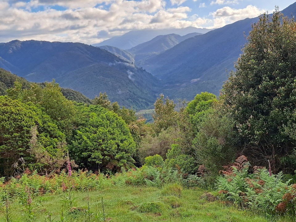 Neuseeland - Waikanae - 