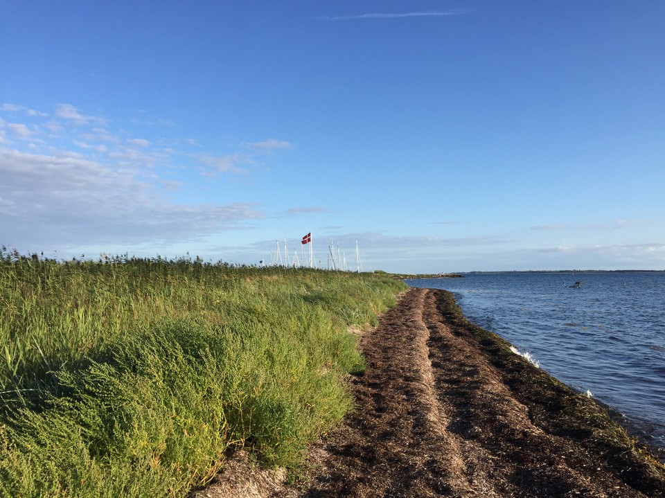 Dänemark - Fåborg Sogn - wunderbares Birkholm