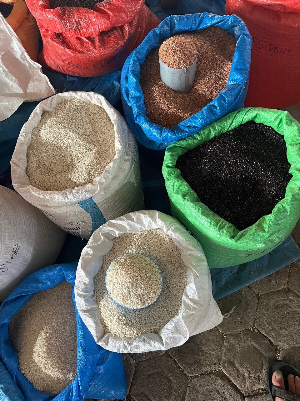 Indonesien - North Toraja Regency - Reis in weiß, rot und schwarz 