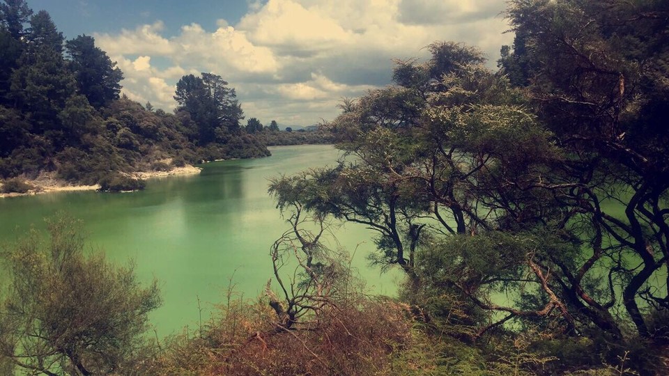 New Zealand - Waiotapu - 