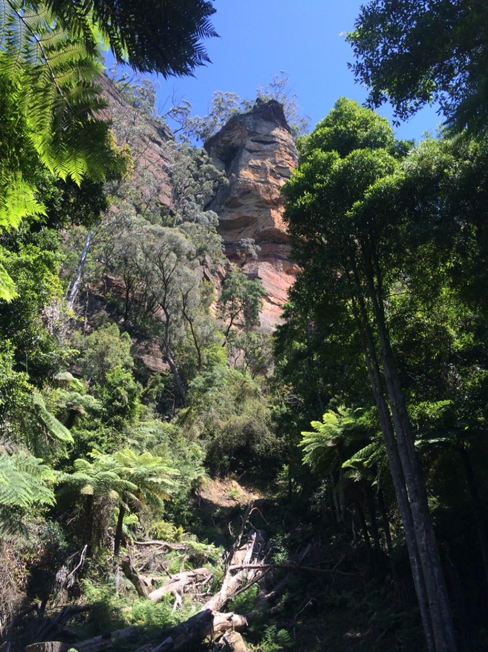 Australien - Katoomba - 