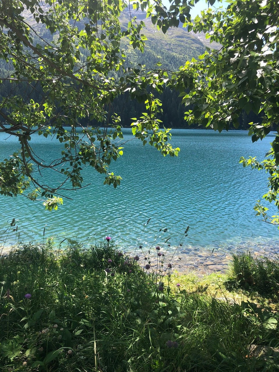 Schweiz - St. Moritz - Die Farben begeistern mich😚