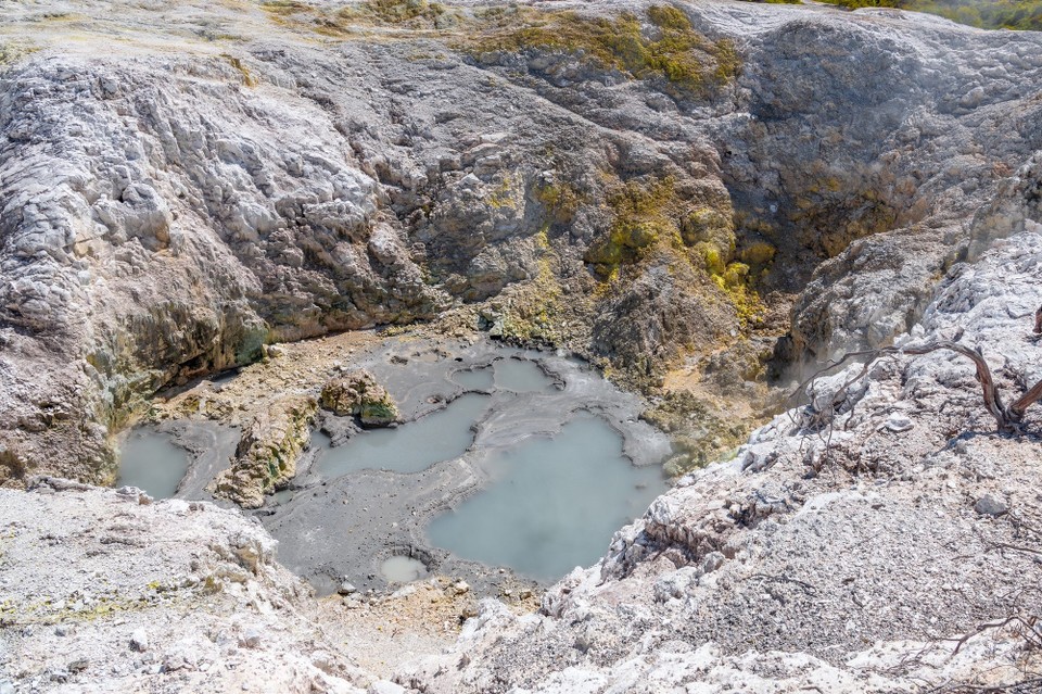 Neuseeland - Rotorua - 