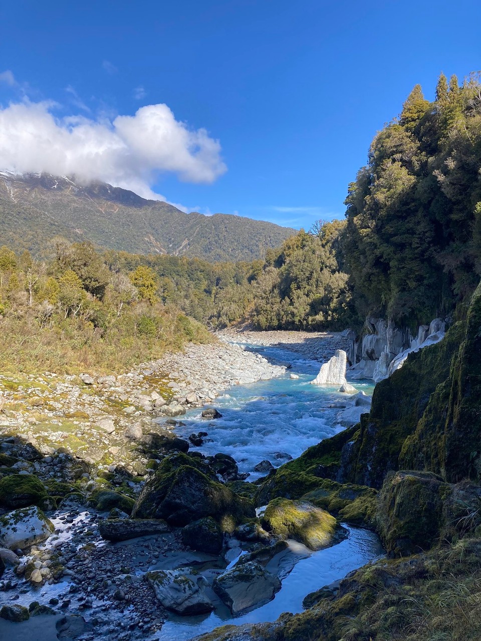 Neuseeland - Whataroa - Dschungel und Steinespringen wechseln sich ab
