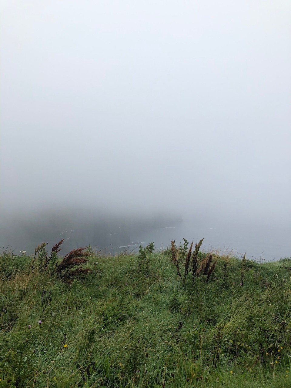 Irland - Dublin - Cliffs of Moher - man kann sie erahnen
