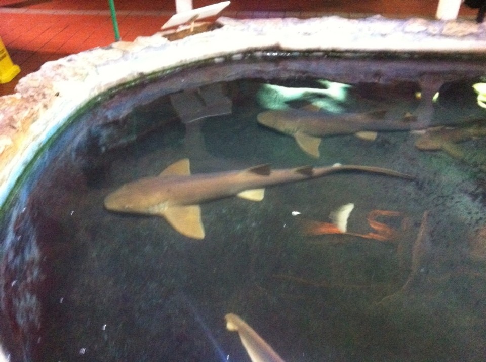 Egyesült Államok - Key West - 