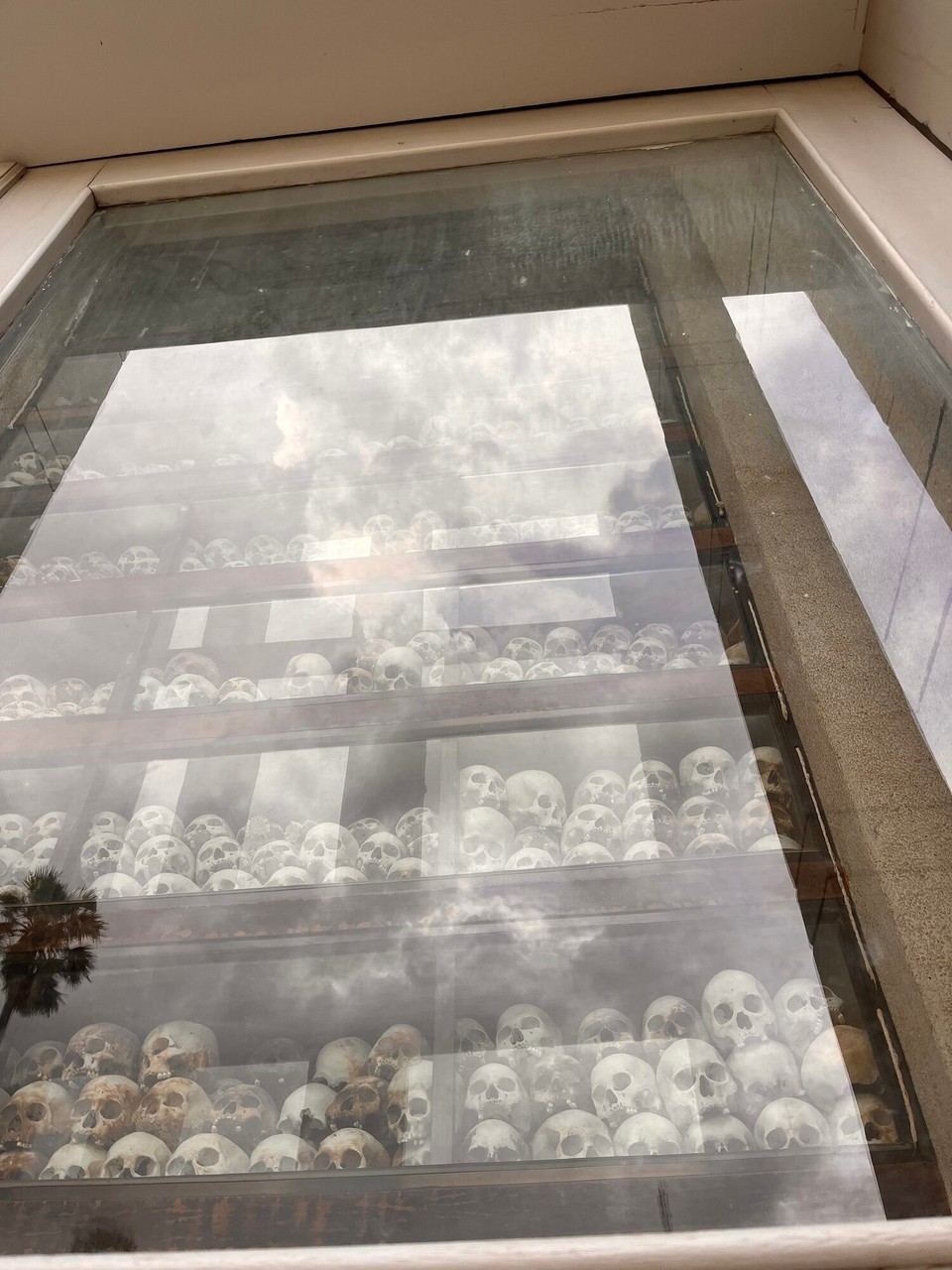 Cambodia - Phnom Penh - Real skulls that were preserved 
Each has a sticker on them which represented how they were killed